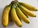 Platano Dominico