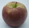 Manzana Red Delicious
