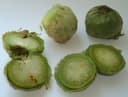 Tomate Verde