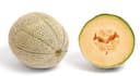Melon
