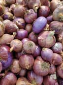 Cebolla Morada