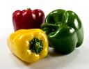 Pimiento Morron Verde