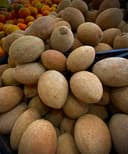 Mamey