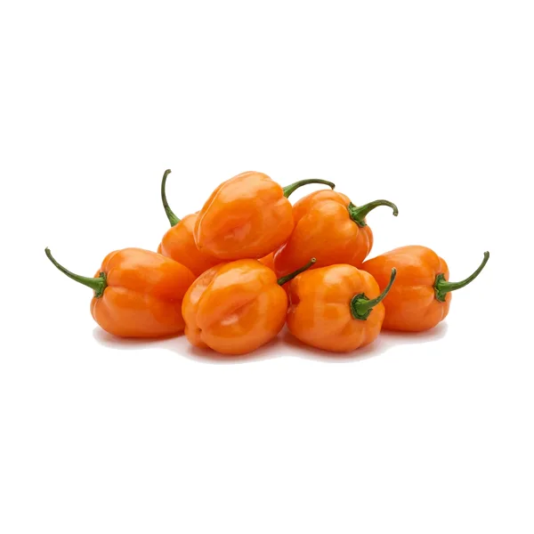 Chile Habanero