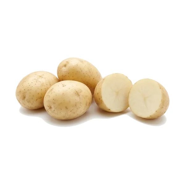Papa Blanca