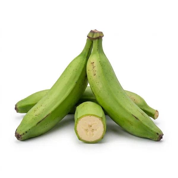 Platano Macho