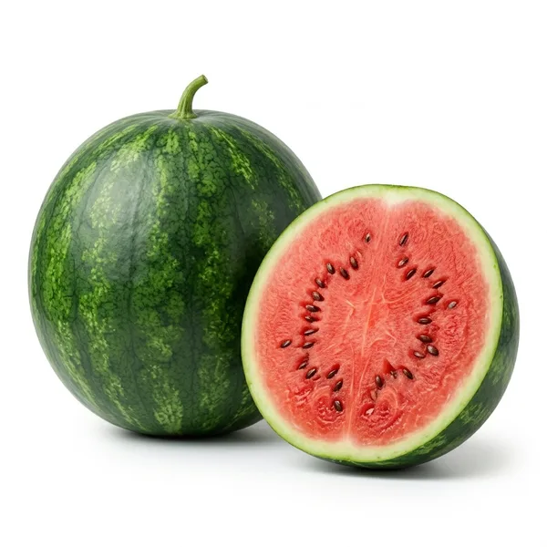 Sandia